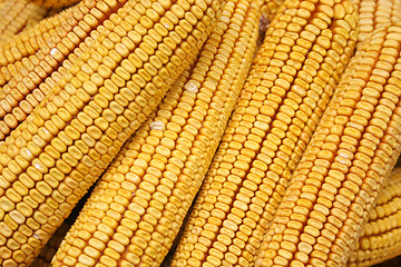 Image showing corns