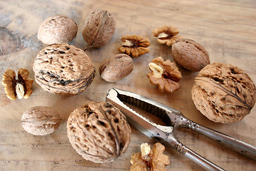 Image showing walnuts and nutcracker