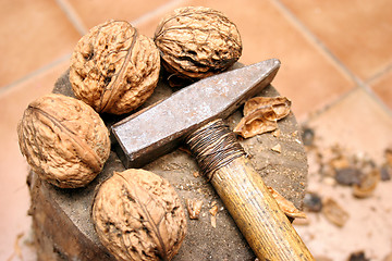 Image showing walnuts and hammer 