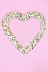 Image showing Heart Shape Hawthorn Blossom Spring Wreath