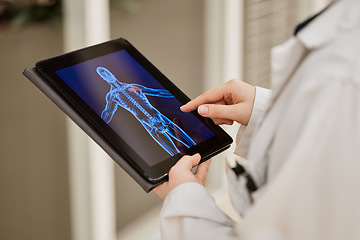 Image showing Doctor, hands and tablet x ray, mri results and healthcare research, anatomy solution and injury review of skeleton. Medical professional or radiology person with xray graphic on digital screen