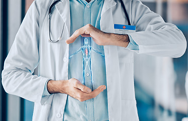 Image showing Hands, employee or doctor with hologram, human body and healthcare with anatomy, science and research. Holographic person, medical professional and closeup with analysis, biotechnology and innovation