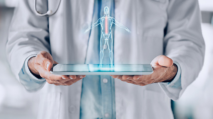 Image showing Closeup, tablet and doctor with hologram, human body and healthcare with science, analysis and research. Holographic person, medical professional or surgeon with biotechnology, anatomy and innovation