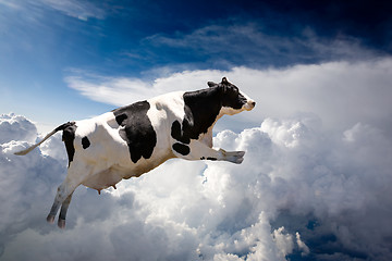Image showing Flying Cow