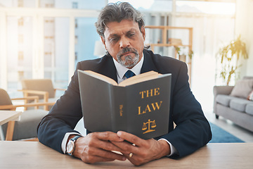 Image showing Lawyer, man and reading book in office for legal information, knowledge and business research, compliance or rules. Textbook, judge and professional person, professor or senior attorney with justice