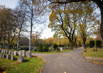 Image showing Graveyard