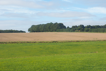 Image showing English country panorama in Salisbury