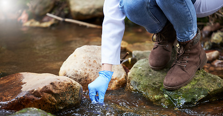 Image showing Forest, water and hands of environmentalist test sample for research or inspection of the ecosystem and environment study. Science, sustainable and professional scientist doing agriculture exam