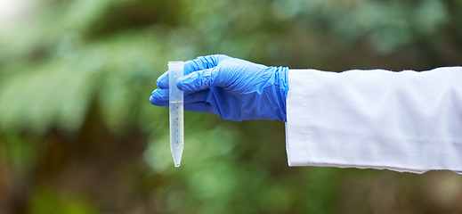 Image showing Environment, water and test tube with hands of scientist in nature for quality control, research and science. Sustainability, study and medical with closeup of person in forest for eco biotechnology