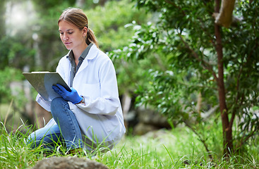 Image showing Science in forest, checklist of plants and woman in nature, studying growth of trees for sustainable analysis. Ecology, development and research in biology, scientist with clipboard test for grass.