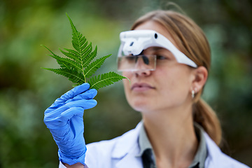 Image showing Science, analysis and woman with leaf in woods, studying growth of trees and sustainable plants in nature. Ecology, green leaves and research in biology, scientist with glasses and forest inspection.