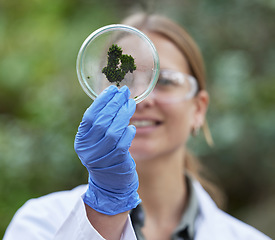 Image showing Science, petri dish and woman with moss in forest, plants in nature and study of bacteria growth for sustainable analysis. Ecology, green research and scientist in woods for biotechnology development