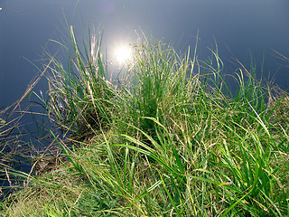 Image showing pond