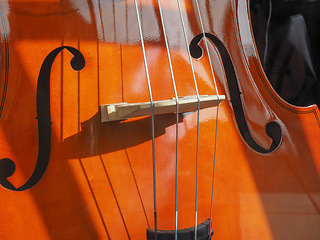 Image showing Cello stringed instrument