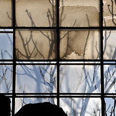 Image showing broken factory window and tree branches