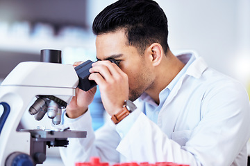 Image showing Science, check microscope and man in laboratory for research, test and sample analysis. Healthcare, biotechnology and scientist with medical equipment for vaccine development, analytics and medicine