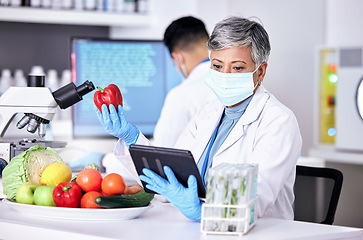 Image showing Female scientist, vegetables and lab with tablet for information on app or research for diet. Science, expert and study with technology for food or analysis with reading on agriculture or experiment.