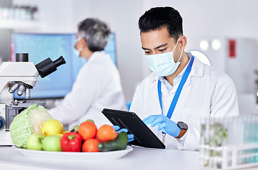 Image showing Scientist, study and laboratory with vegetable with tablet for test with online app for nutrition. Research, diet and science expert with food or technology for information with internet for quality.