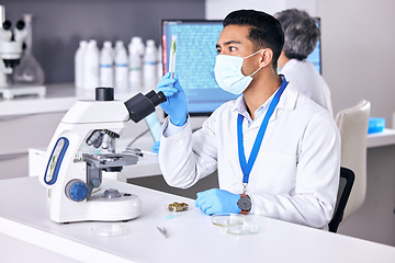 Image showing Plants, test tube and scientist man in research, growth analysis or cannabis medicine, bacteria and face mask. Focus, science or medical people, cbd and natural pharmaceutical for covid in laboratory