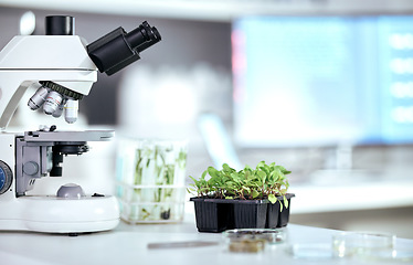 Image showing Microscope, science and ecology with plant in laboratory, environmental study and medical research with sustainability. Scientific equipment, leaves and green sample with biology and biotechnology