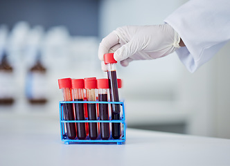 Image showing Hand, doctor and blood in test tube, health and sample for experiment with medical research in lab. Scientist, person and healthcare, check for virus or bacteria with scientific study and pathology