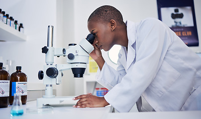 Image showing Microscope, science and black woman in laboratory to check research, medical analysis and study biotechnology. Female scientist, microbiology and investigation of innovation, dna test and development