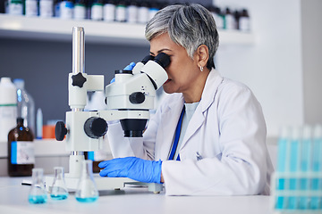 Image showing Microscope, science and woman in laboratory to check research, medical analysis and study genes, particles or dna. Female scientist planning biotech, lens or review investigation, test and assessment