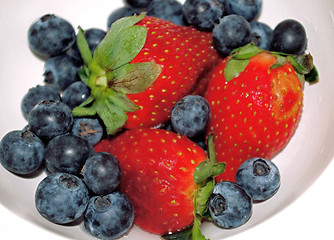 Image showing berries