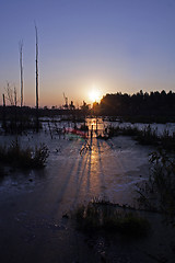 Image showing decline above peat bogs