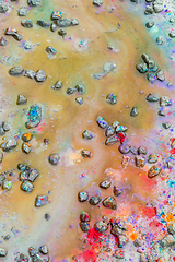 Image showing colorful paint splatters