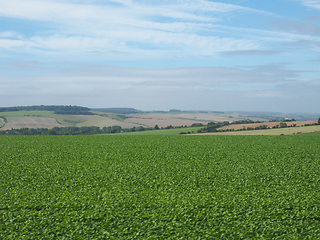 Image showing English country panorama in Salisbury