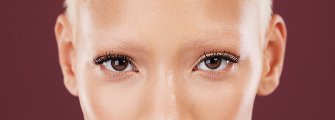 Image showing Portrait, woman eyes and beauty makeup with mascara and eyebrows bleached in a studio. Cosmetics, eyebrow treatment and self care for lashes close up of a young model with isolated brown background
