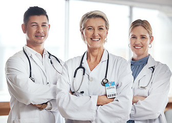 Image showing Healthcare, teamwork and portrait of doctors in hospital for wellness, medical service and support. Collaboration, diversity and health workers smile in clinic for insurance, trust and medicine