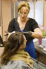 Image showing Hairdresser with Client