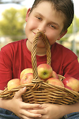 Image showing Apple Basket