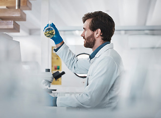 Image showing Science, man and laboratory with chemical liquid for chemistry research, pharma test and biotechnology results. Medical innovation, scientist and expert studying solution of dna health investigation