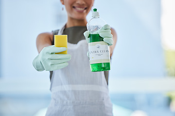 Image showing Woman, hands and domestic holding detergent for cleaning, hygiene or disinfecting equipment at home. Female hand advertising clean products for hygienic house work or washing safety from bacteria