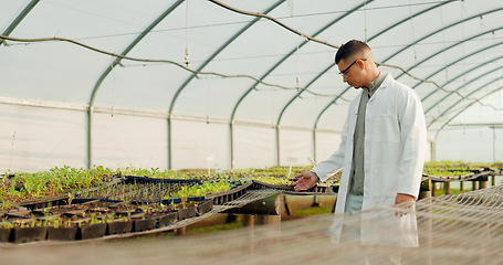 Image showing Botanist, man and greenhouse for agriculture, farming and study plants or vegetables for science. Scientist, farmer or person at nursery, garden or research leaf, food experiment or ecology in nature