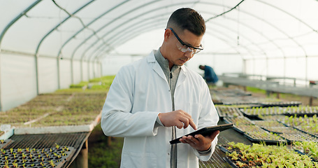 Image showing Scientist, farming and tablet for greenhouse plants, agriculture inspection and quality assurance or check growth. Science expert, man or farmer with food security or vegetables data on digital tech