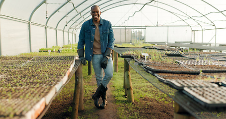 Image showing Greenhouse, agriculture and portrait of farmer with plants, smile and quality assurance in food production. Sustainable business, agro farming with happy black man or vegetable supplier in garden.