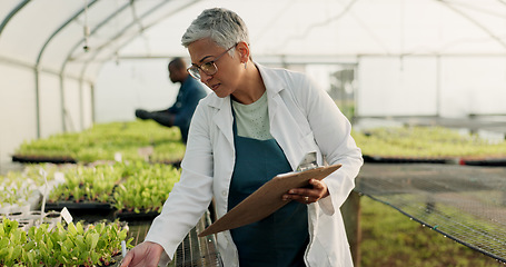 Image showing Scientist, woman and checklist for greenhouse plants, farming or agriculture inspection, quality assurance and growth. Senior farmer or science expert check vegetables and clipboard for food security