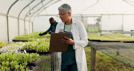 Image showing Scientist, woman and checklist for greenhouse farming, gardening or agriculture inspection of plants and growth. Senior farmer or science expert check vegetables, progress and writing on clipboard