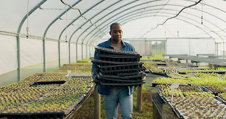 Image showing Farm, agriculture or sustainability with a black man in a greenhouse to plant crops for growth in season. Nature, spring and ecology with a farmer walking on an eco friendly plantation for farming