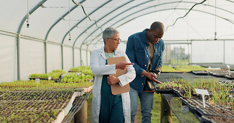 Image showing Man, woman and walk in greenhouse for agriculture gardening, land growth or compost business. Farmer, talking and vegetable dirt for inspection document checklist or plant soil, sustainable or food