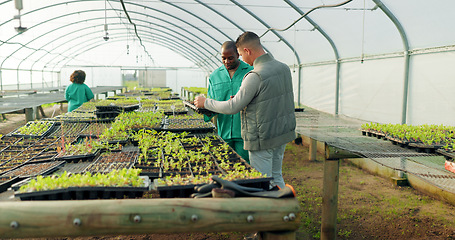 Image showing Greenhouse, agriculture and farm employees with plants to check growth, quality assurance and food production. Sustainable business, agro farming and vegetable supplier in market inspection together.