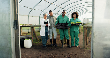 Image showing Farmer, teamwork and greenhouse plants, agriculture and sustainability collaboration in gardening or farming. Professional food scientist, manager and people laughing in portrait for agro development