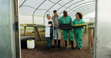 Image showing Greenhouse, team and people with plants for agriculture, harvest vegetables and growth. Smile, group at nursery and farming in garden for ecology, organic botany and sustainability in small business