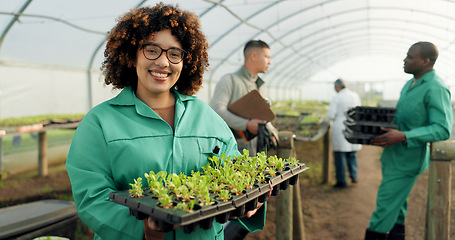 Image showing Woman, tray plants and farming in greenhouse for agriculture, eco friendly gardening and sustainability. Farmer people in portrait with green sprout, vegetables growth and happy for agro development