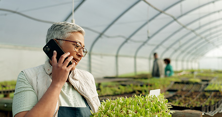 Image showing Farmer, phone call and greenhouse plants, agriculture or farming communication, growth and agro business management. Senior woman, supplier or seller talking on mobile with sprout tray or gardening