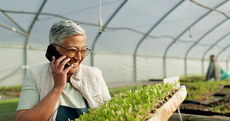 Image showing Woman, phone call and greenhouse plants, farming or agriculture communication, growth and agro business management. Senior farmer, supplier or seller talking on mobile with sprout tray or gardening